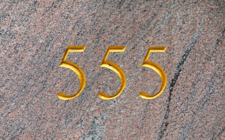 555 angel number meaning for pregnancy