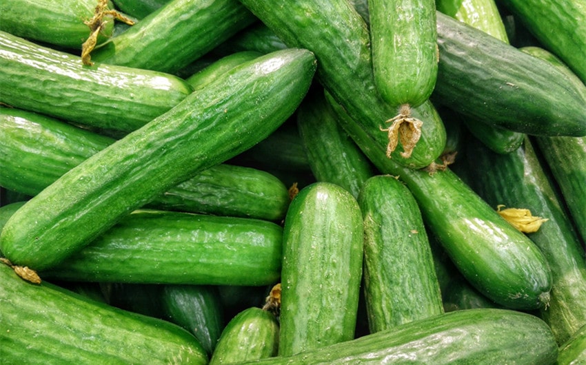 Cucumbers