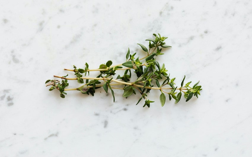 Thyme