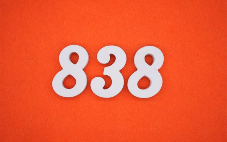 838 angel number