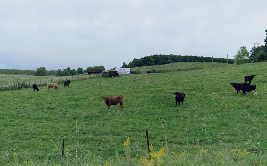 Family Ranch