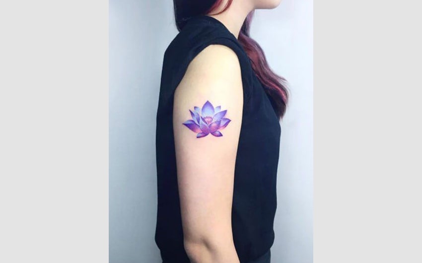 Purple Lotus