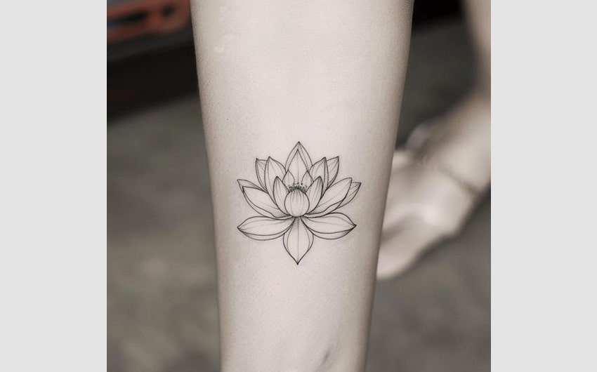 White Lotus