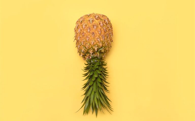 what does an upside-down pineapple mean sexually