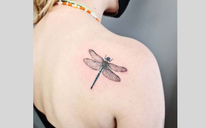 Dragonfly