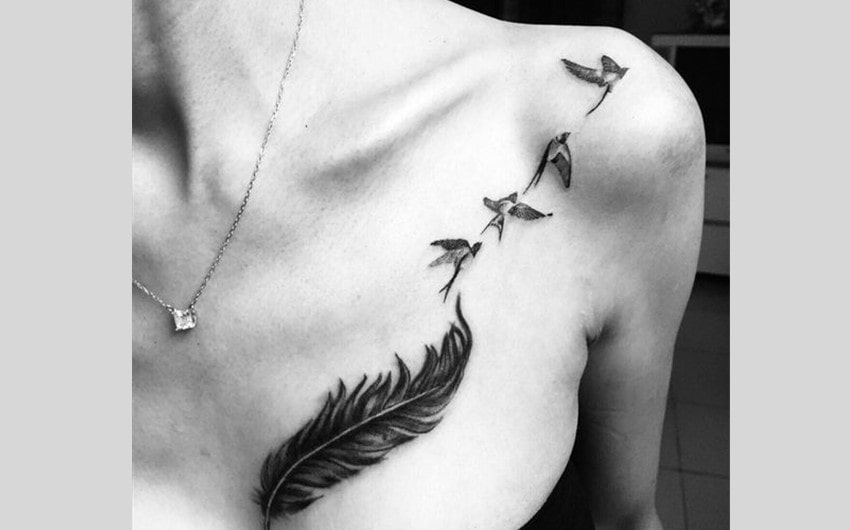 Feather with Birds