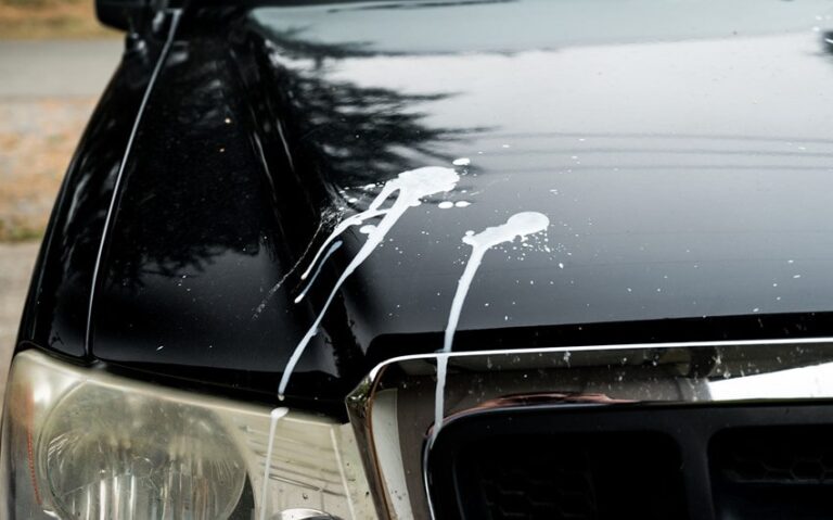 spiritual meanings of bird poop on a car